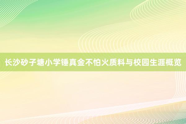 长沙砂子塘小学锤真金不怕火质料与校园生涯概览